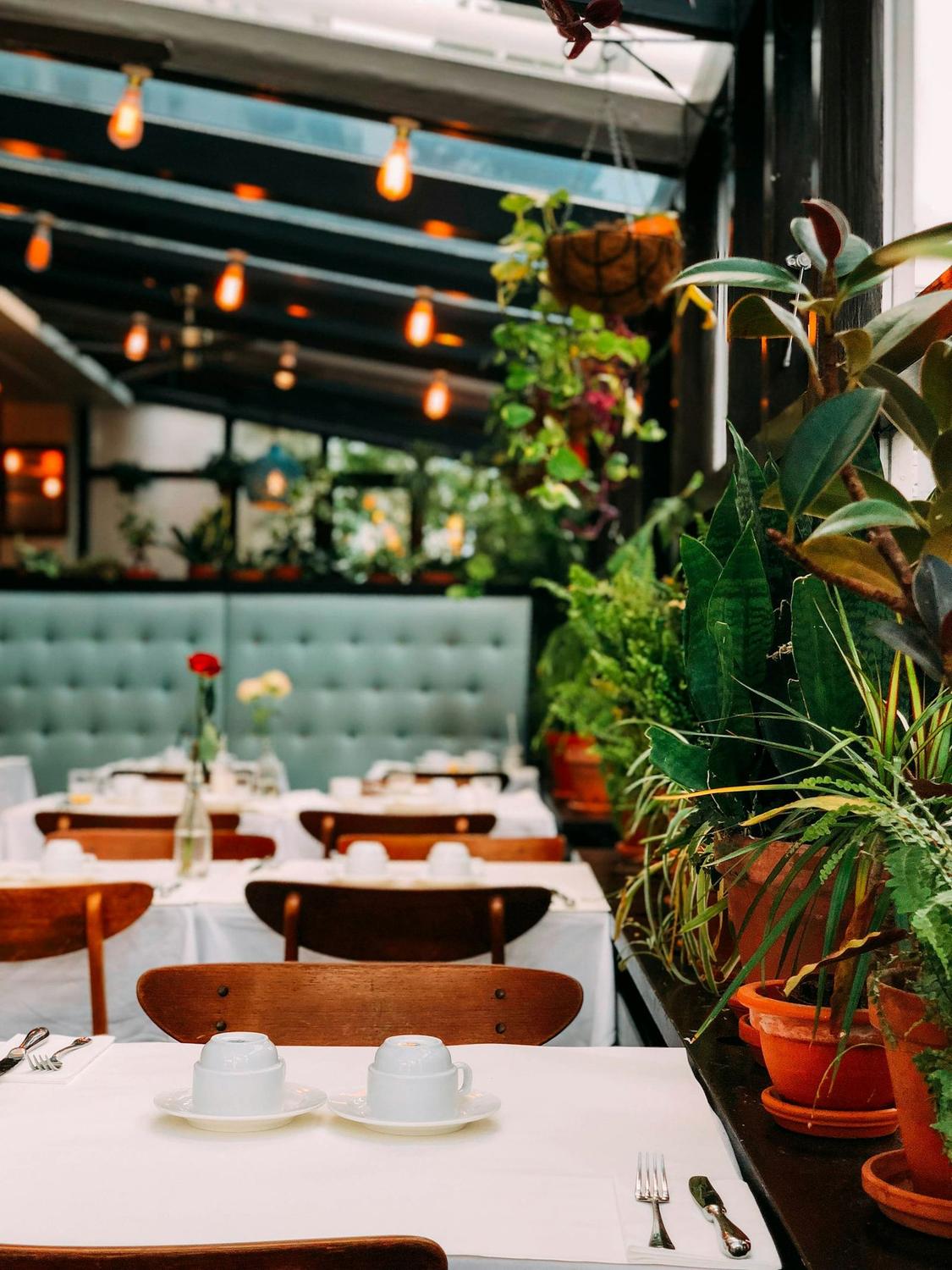 A table laid for dinner